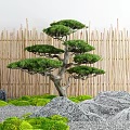 Japanese Style Courtyard Garden With Bonsai Pine Tree Bamboo Fence Rocks And Moss