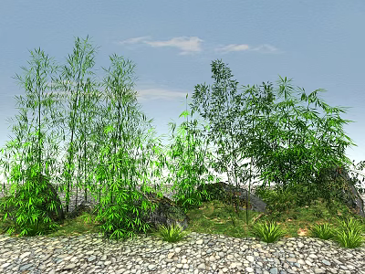 Green Bamboo Plants in Landscape with Blue Sky White Clouds Pebble Ground and Grass 3d model