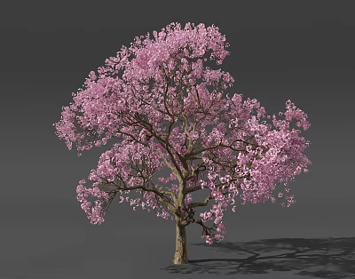 Beautiful Blooming Tree With Lush Pink Flowers Brown Trunk Against Gray Background 3d model