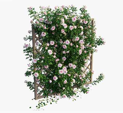 Wooden Fence Covered with Dense Pink Flowers and Green Vines 3d model