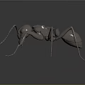 3D Metallic Ant Sculpture With Shiny Surface And Detailed Legs On Dark Background