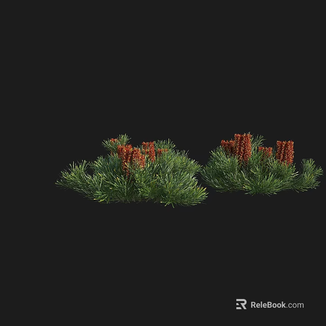 Green Shrubs With Red Berries In Two Clusters On Black Background 3d model 