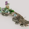 Creative Succulent Plant Arrangement with Wooden Branch Base and Decorative Stones