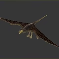 Purple And Blue Pterosaur 3D Model With Large Spread Wings And Detailed Texture