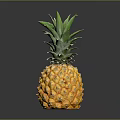 Fresh Ripe Pineapple With Green Leafy Top And Yellow Textured Skin On Black Reflective Surface