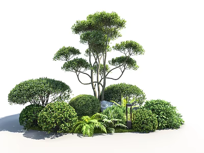 Diverse Garden Shrubs Landscape With Round Bushes Fern Plants And Stone Lantern 3d model