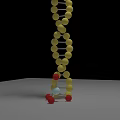 3D DNA Double Helix Structure Model as Medical Device for Biomedical Research with Colored Spheres 3d model
