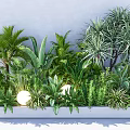 Lush Green Plants Featuring Palm Banana Leaves Tropical Foliage White Ball Lights In Gray Planter