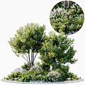 Modern plant outdoor greening plant flower bed plant pile shrub combination flower and grass shrub plant flower bed plant pile combination 3d model