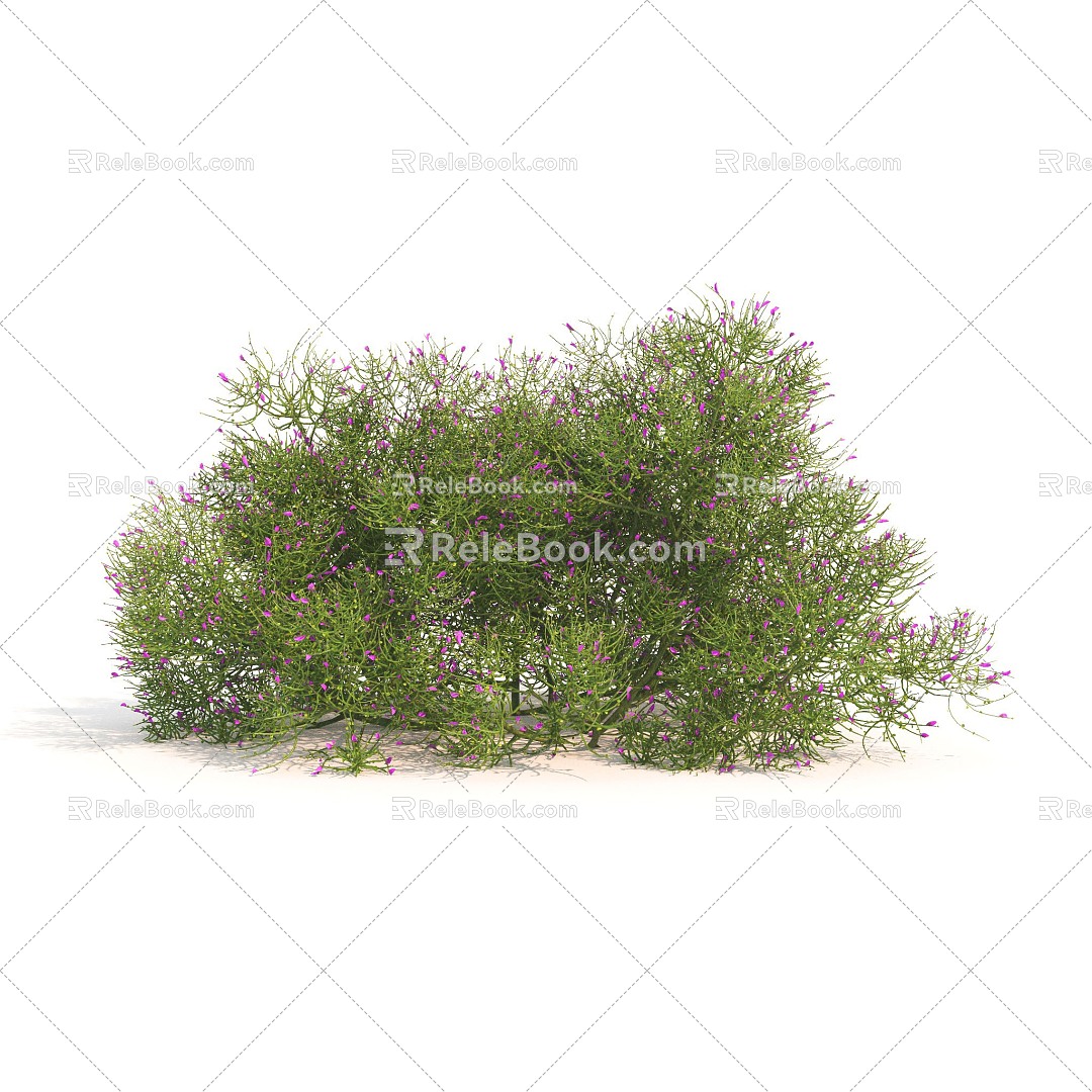 plant green plant shrub ball flowers flowers 3d model