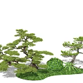 Elegant Green Leafy Trees With Graceful Branches Lush Bushes And Fresh Grass