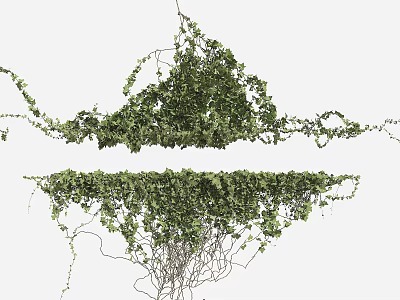 Lush Green Vines With Trailing Branches And Dense Foliage Growth 3d model