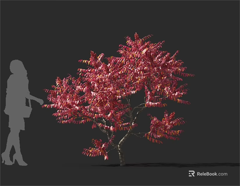 Red Leaf Arbor With Human Silhouette Showing Size Proportion 3d model 