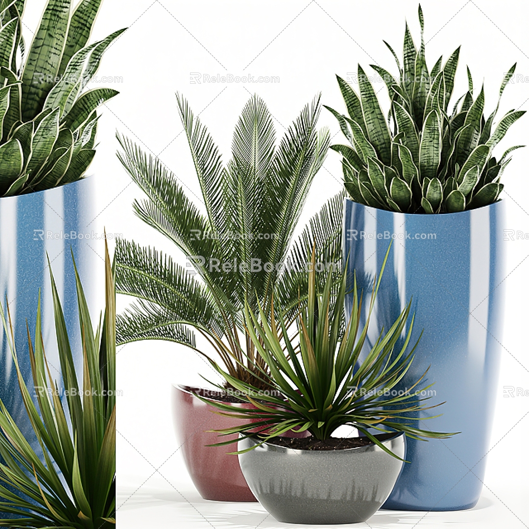 Modern Green Plant Potted Plant 3d model