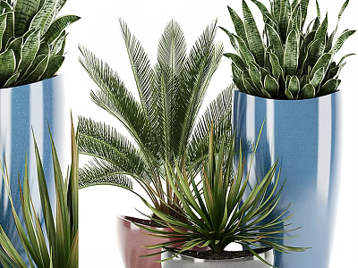 Indoor Potted Plants With Fern Snake Plant And Agave In Blue Ceramic Pots 3d model