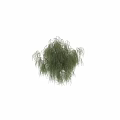 Elegant Garden Ornament With Weeping Willow Green Foliage And Hanging Branches