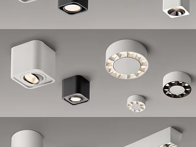 Modern Black And White Downlights And Spotlights For Contemporary Ceiling Illumination 3d model