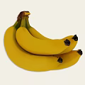 Fresh Ripe Yellow Bananas In A Bunch For Nutritious Snacking