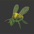 Detailed 3D Rendered Bee With Yellow Black Body Transparent Wings On Dark Background