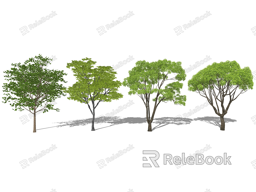 Modern Tree Camphor Tree model