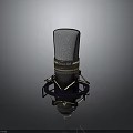 Professional Condenser Microphone With Metal Mesh And Shock Mount Black Gold Design