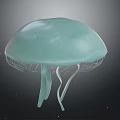 Light Blue Domed Jellyfish Floating With Transparent Delicate Tentacles On Dark Background 3d model