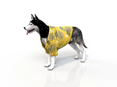 Cute Husky Dog Wearing Yellow Leaf Pattern Shirt Standing On White Background 3d model