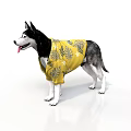 Cute Husky Dog Wearing Yellow Leaf Pattern Shirt Standing On White Background