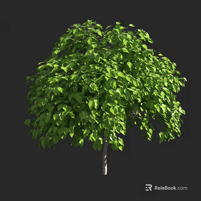 Lush Green Arbor With Dense Foliage And Full Canopy In Outdoor Space 3d model 