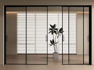 Modern Black Frame Glass Sliding Doors In Bright Interior With Indoor Plant And Wooden Floor 3d model