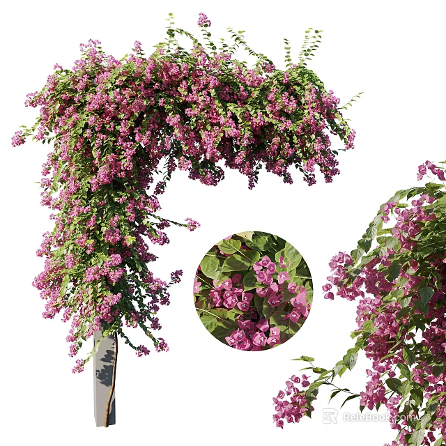 Lush Hanging Vines With Purple Flowers And Green Leaves For Decoration 3d model 