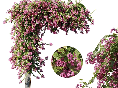 Lush Hanging Vines With Purple Flowers And Green Leaves For Decoration 3d model
