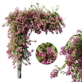 Lush Hanging Vines With Purple Flowers And Green Leaves For Decoration