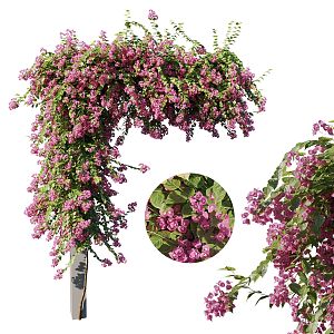 Modern Vine Outdoor Vine Flower Rack Porch Rack Creative Lilac Vine Plant Flower Rack Arch Porch Rack 3d model