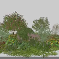 Diverse Garden Shrubs With Purple Yellow Flowers And Lush Green Foliage