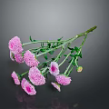 Pink Chrysanthemum Flowers With Green Stems And Leaves On Gray Background With Reflection