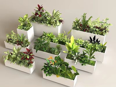 Potted Plants in White Rectangular Planters with Various Green Leafy Foliage 3d model