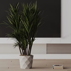 Modern Potted Plant 3d model