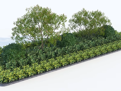 Lush Green Shrubs In Landscaped Garden With Varied Foliage And Arranged Plants 3d model