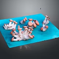 Fresh Pink And White Mushrooms Arranged On Blue Mat For