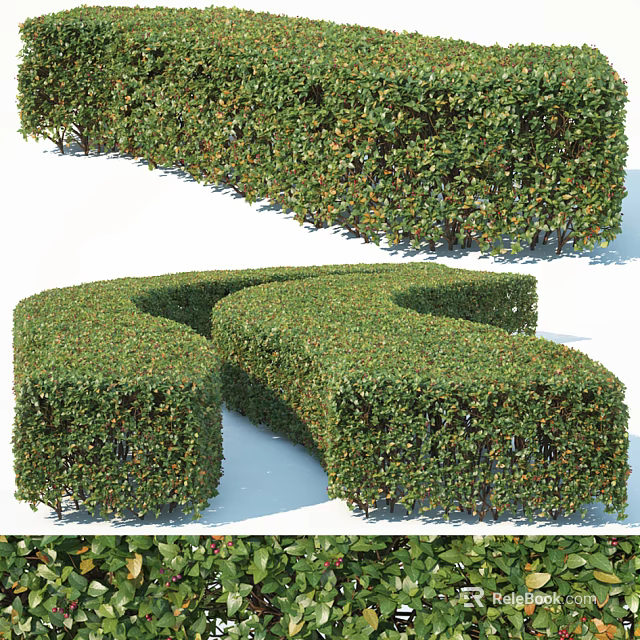 Well Trimmed Sculpted Bushes With Curved Green Shapes In Garden Landscape Design 3d model 