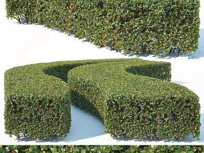 Well Trimmed Sculpted Bushes With Curved Green Shapes In Garden Landscape Design 3d model