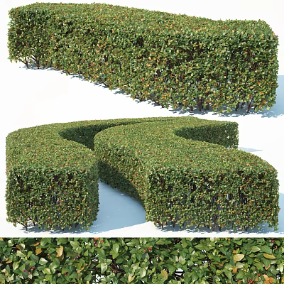 Well Trimmed Sculpted Bushes With Curved Green Shapes In Garden Landscape Design 3d model