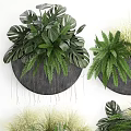 Bonsai Potted Plants With Ferns And Grasses In Black Round Wall Mounted Pots