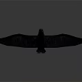 Black Bird With Spread Wings Standing on White Surface With Reflection 3d model