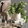 Decorative Ornament Combination With Green Plant Glass Vase Wooden Tray And Glassware