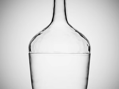 Transparent Glass Vase With Slender Neck Holding Fresh Flowers In Black White Background 3d model