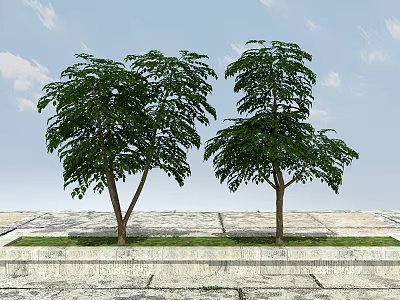 Two Arbor Trees with Green Foliage on Stone Pavement Under Blue Sky and White Clouds 3d model