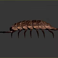 Realistic 3D Rendered Brown Pill Bug With Segmented Body And Long Antennae 3d model