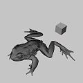 3D Render Of Brown Frog With Colorful Rubiks Cube On Gray Background